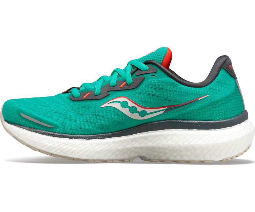 Mint Women's Saucony Triumph 19 Running Shoes | 3427-UBTIQ