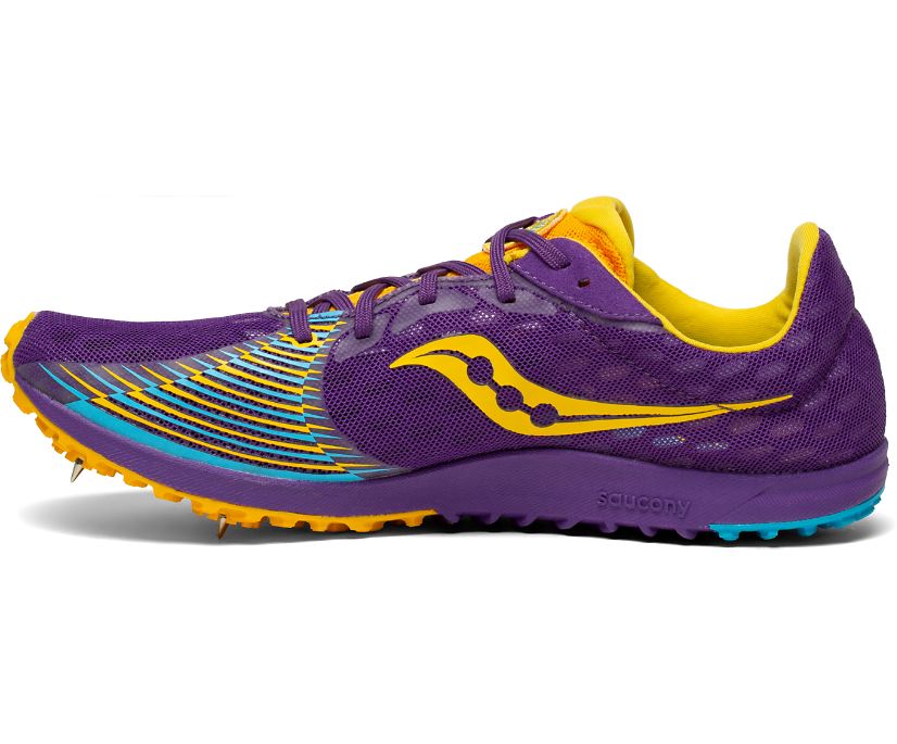 Purple / Gold Women's Saucony Kilkenny Xc9 Spike Running Shoes | 6091-KYHSL