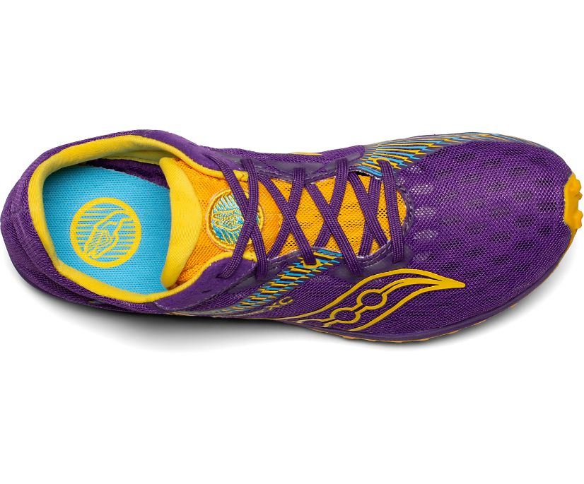 Purple / Gold Women's Saucony Kilkenny Xc9 Spike Running Shoes | 6091-KYHSL