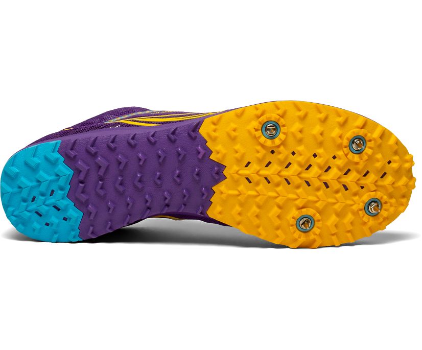 Purple / Gold Women's Saucony Kilkenny Xc9 Spike Running Shoes | 6091-KYHSL