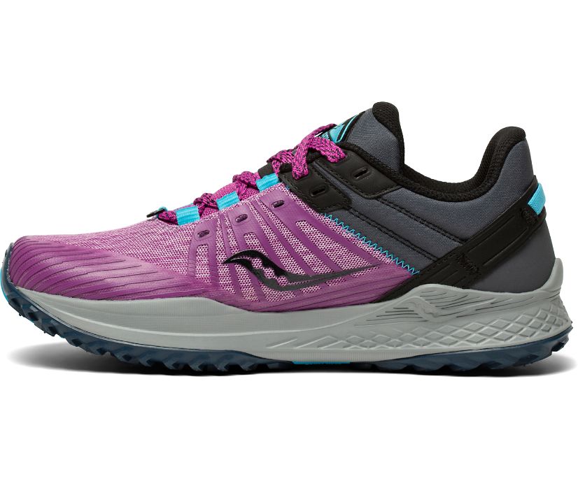 Purple / Grey Women's Saucony Mad River Tr 2 Trail Running Shoes | 0958-FIRDB