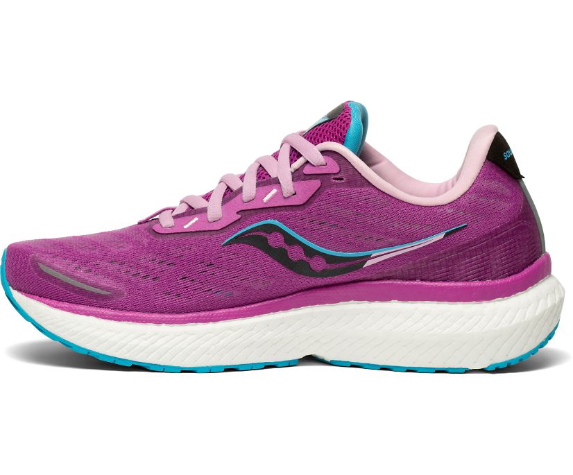 Purple Women's Saucony Triumph 19 Running Shoes | 1490-MLGVN